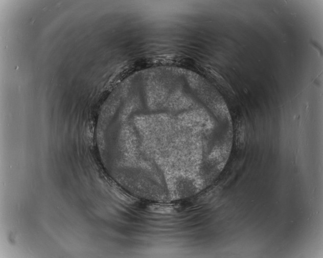 X0000102780661200809151104