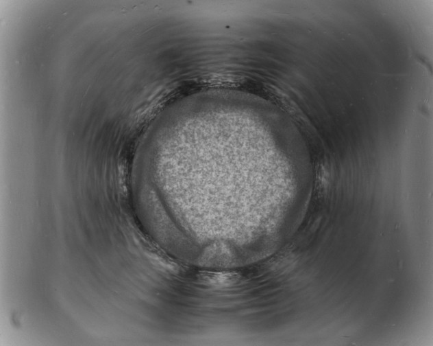 X0000102780663200809151104