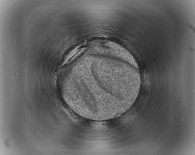 X0000102780664200809151104