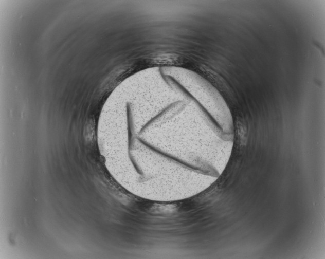 X0000102780665200809151104