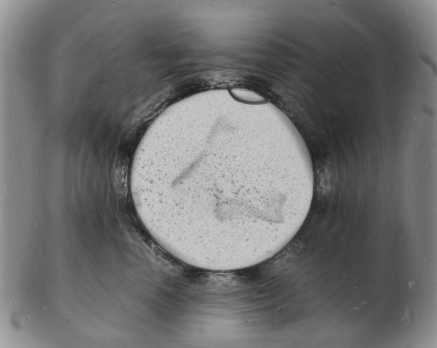 X0000102780666200809151104