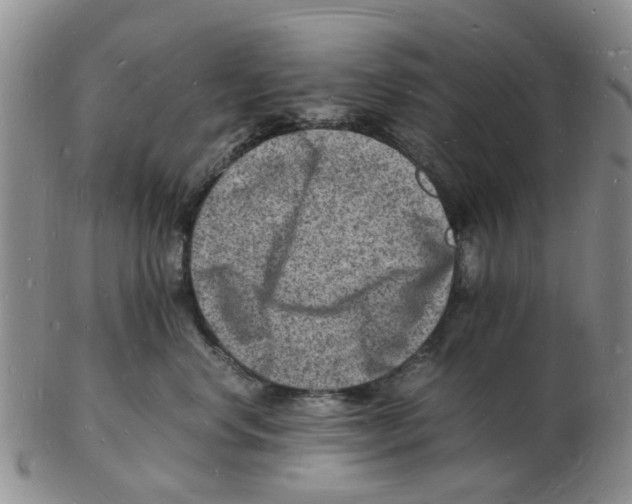 X0000102780668200809151104