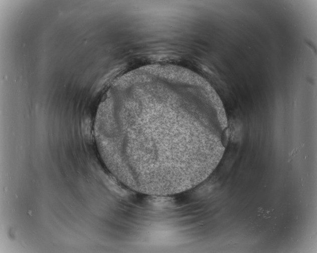 X0000102780670200809151104