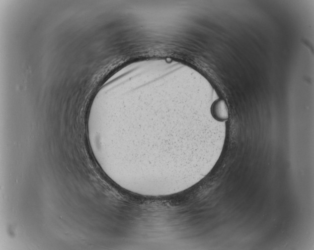 X0000102780673200809151103