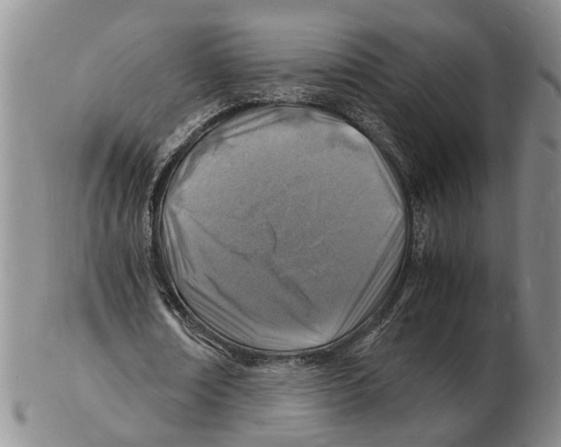 X0000102780674200809151103