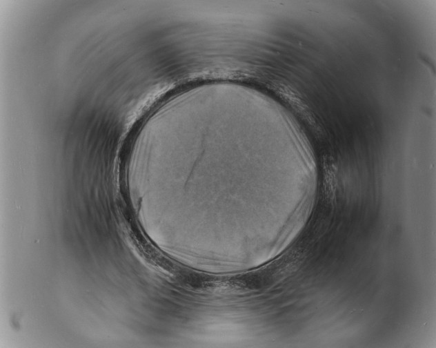 X0000102780678200809151103