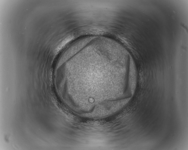 X0000102780679200809151103