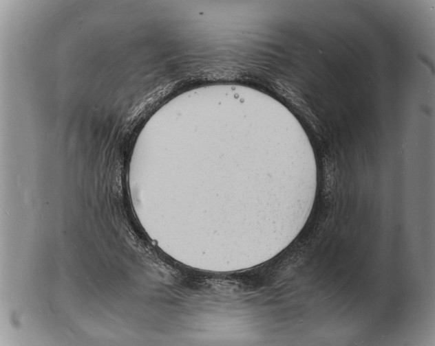 X0000102780681200809151103