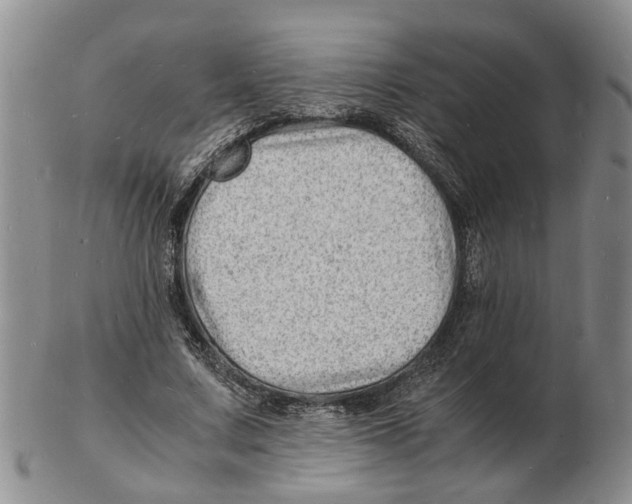 X0000102780683200809151103