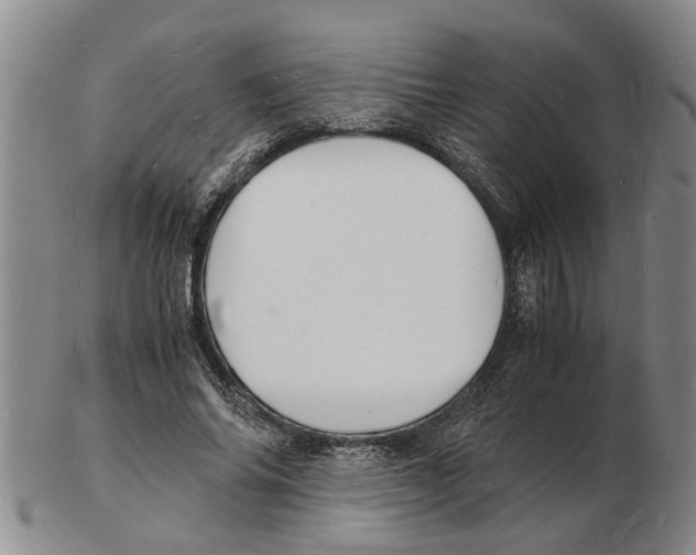 X0000102780686200809151103