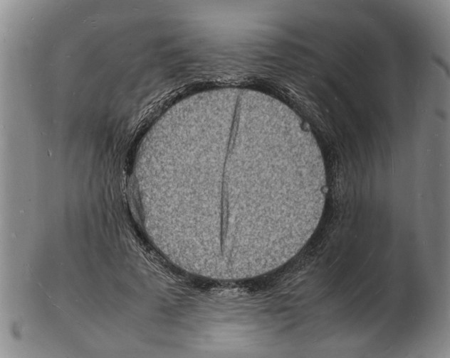 X0000102780689200809151103