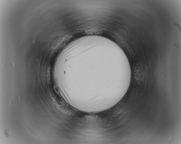 X0000102780690200809151103