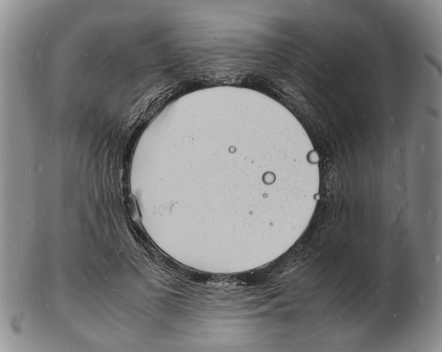 X0000102780693200809151103