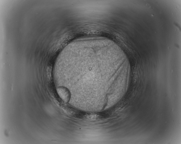 X0000102780695200809151103