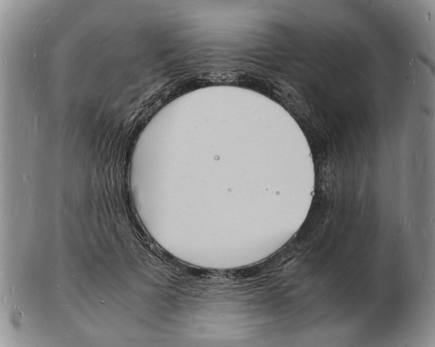 X0000102780697200809151103