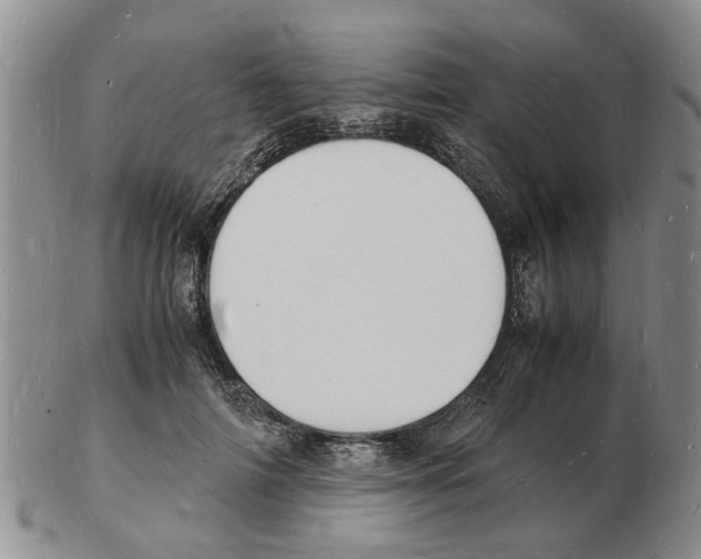 X0000102780698200809151103