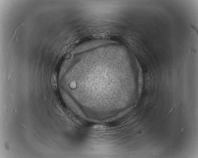 X0000102780699200809151103