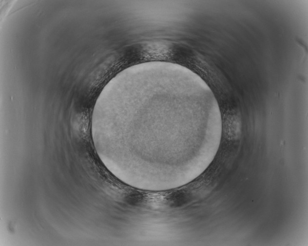 X0000102780701200809151103