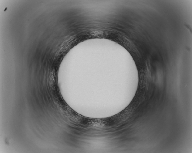 X0000102780702200809151103