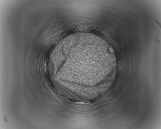 X0000102780703200809151103