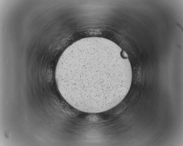 X0000102780704200809151103