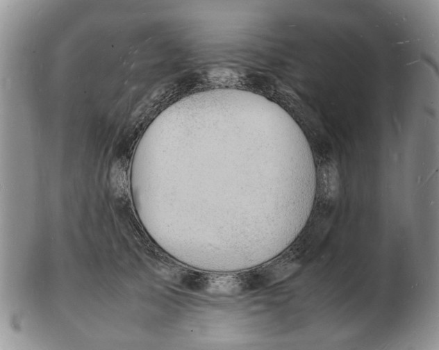 X0000102780705200809151103