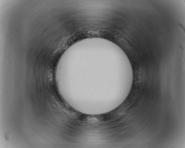 X0000102780706200809151103