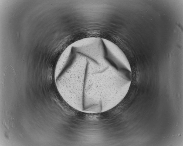 X0000102780710200809151103