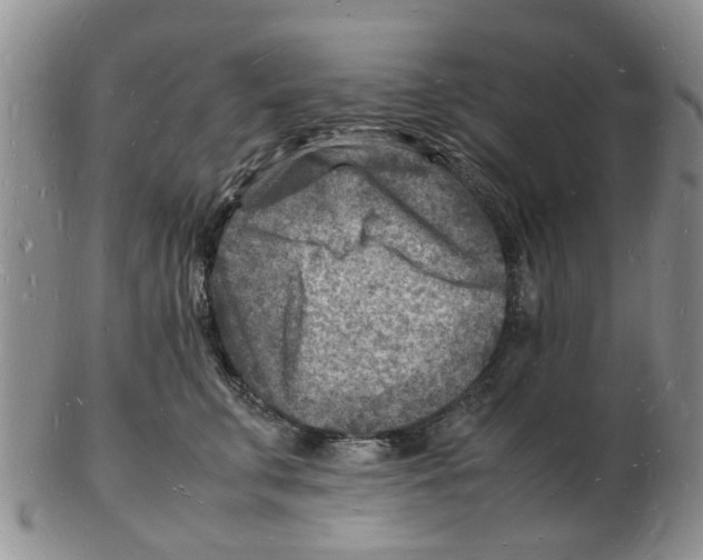 X0000102780711200809151103