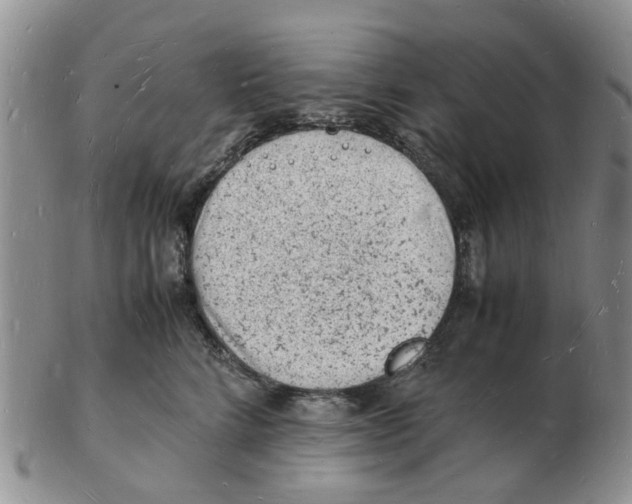 X0000102780712200809151103