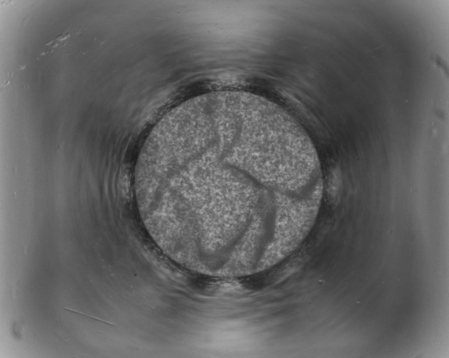 X0000102780715200809151103