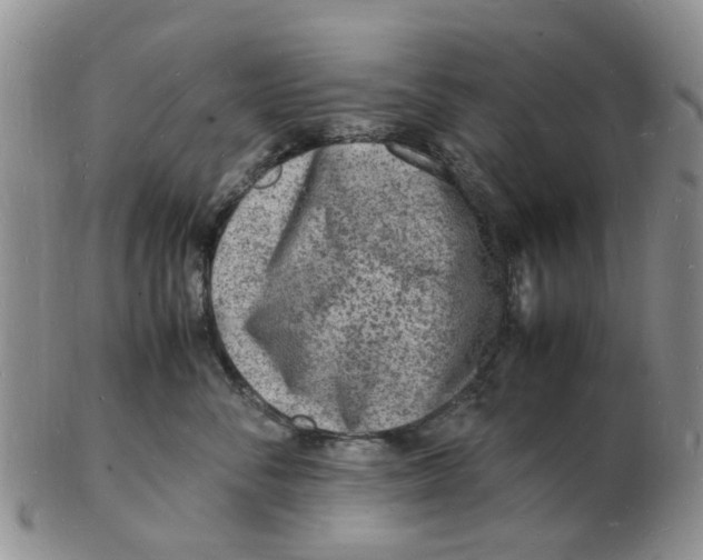 X0000102780716200809151103