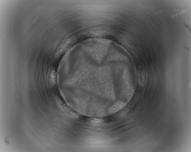 X0000102780718200809151103