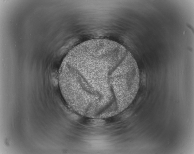 X0000102780719200809151103