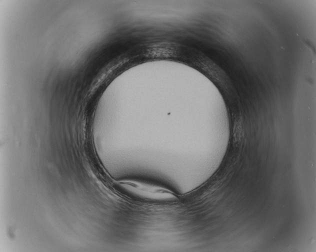 X0000102780722200809151102