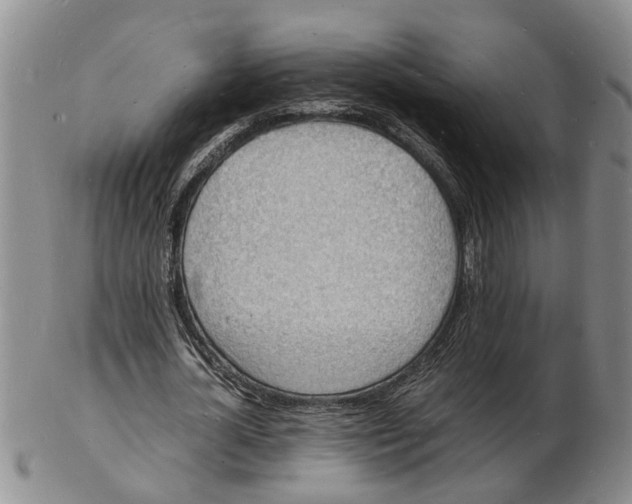 X0000102780724200809151102