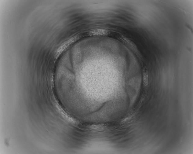 X0000102780725200809151102