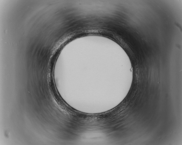 X0000102780728200809151102