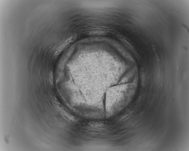 X0000102780729200809151102