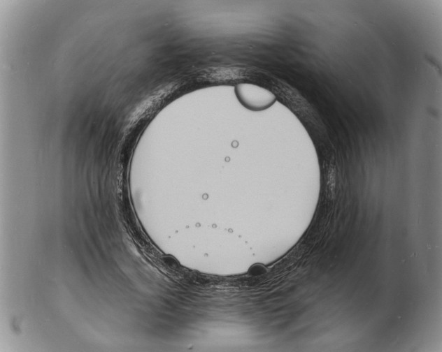 X0000102780732200809151102