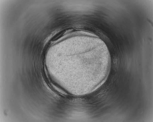 X0000102780734200809151102