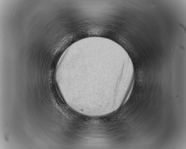 X0000102780738200809151102