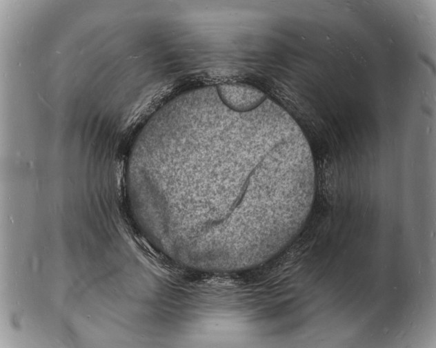 X0000102780742200809151102