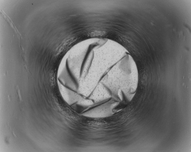 X0000102780743200809151102