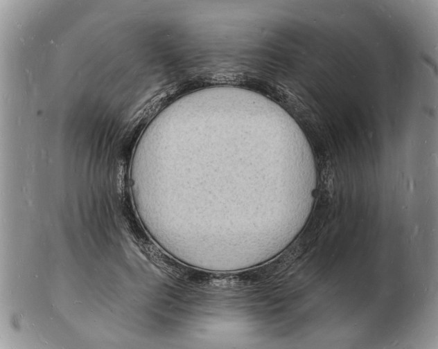 X0000102780744200809151102