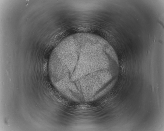 X0000102780745200809151102