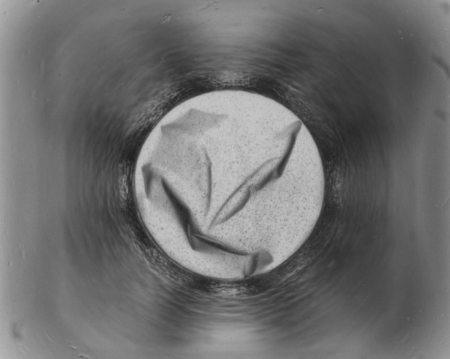 X0000102780746200809151102