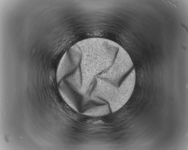 X0000102780747200809151102