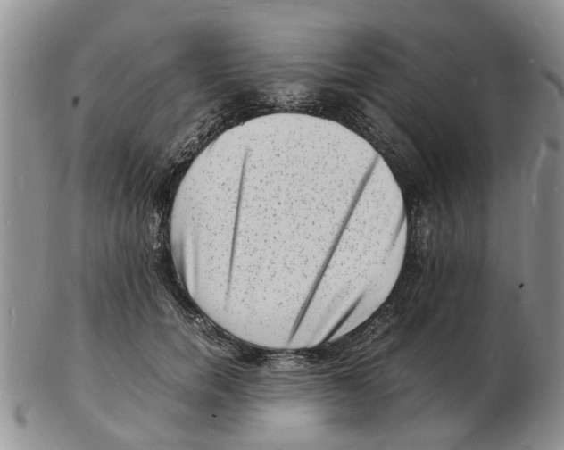 X0000102780750200809151102