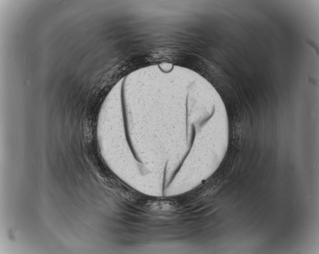 X0000102780751200809151102